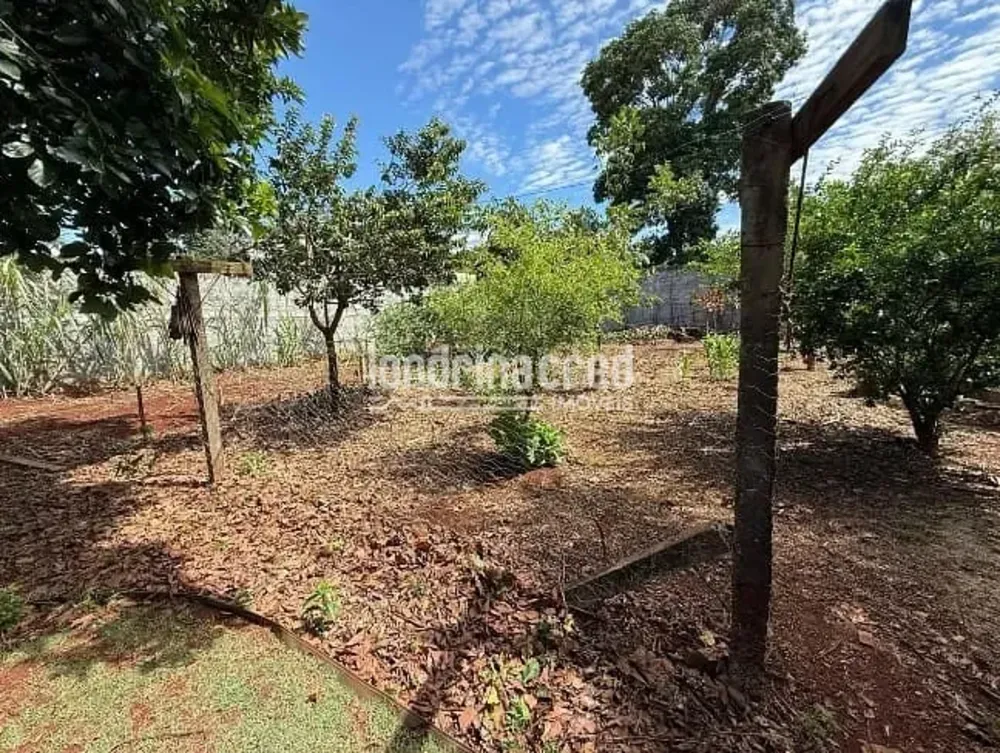 Chácara, 4 quartos, 3000 m² - Foto 8