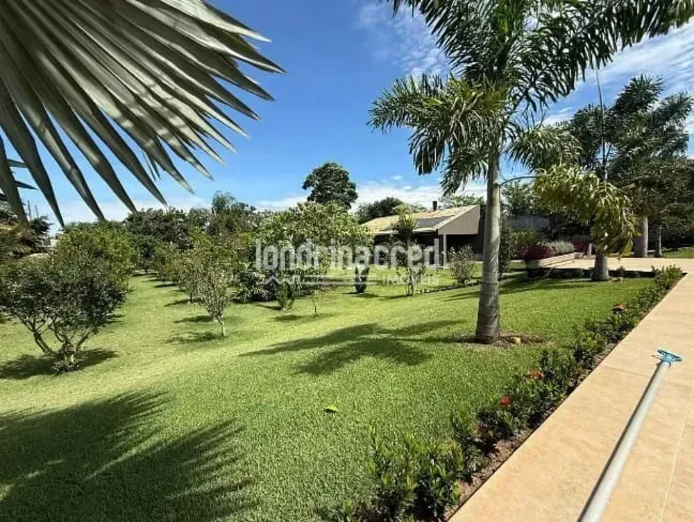 Chácara, 4 quartos, 3000 m² - Foto 3