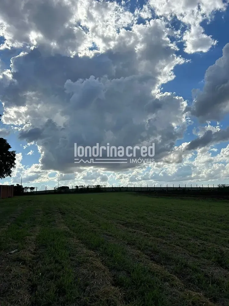 Terreno, 3000 m² - Foto 6