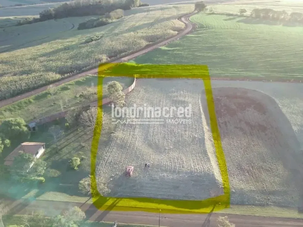 Terreno, 3000 m² - Foto 3