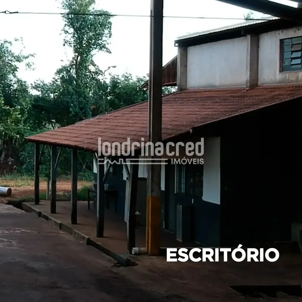 Terreno, 2 hectares - Foto 1