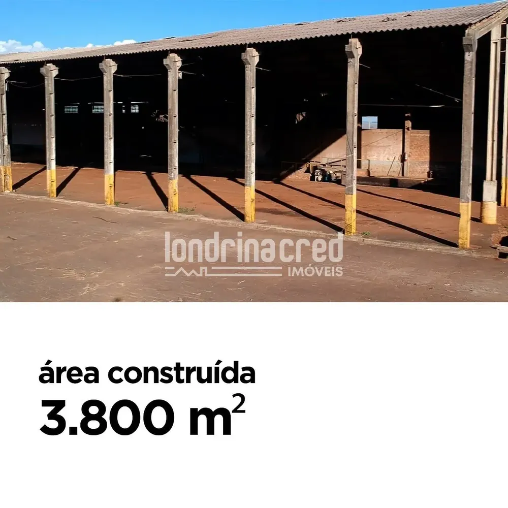 Terreno, 2 hectares - Foto 3
