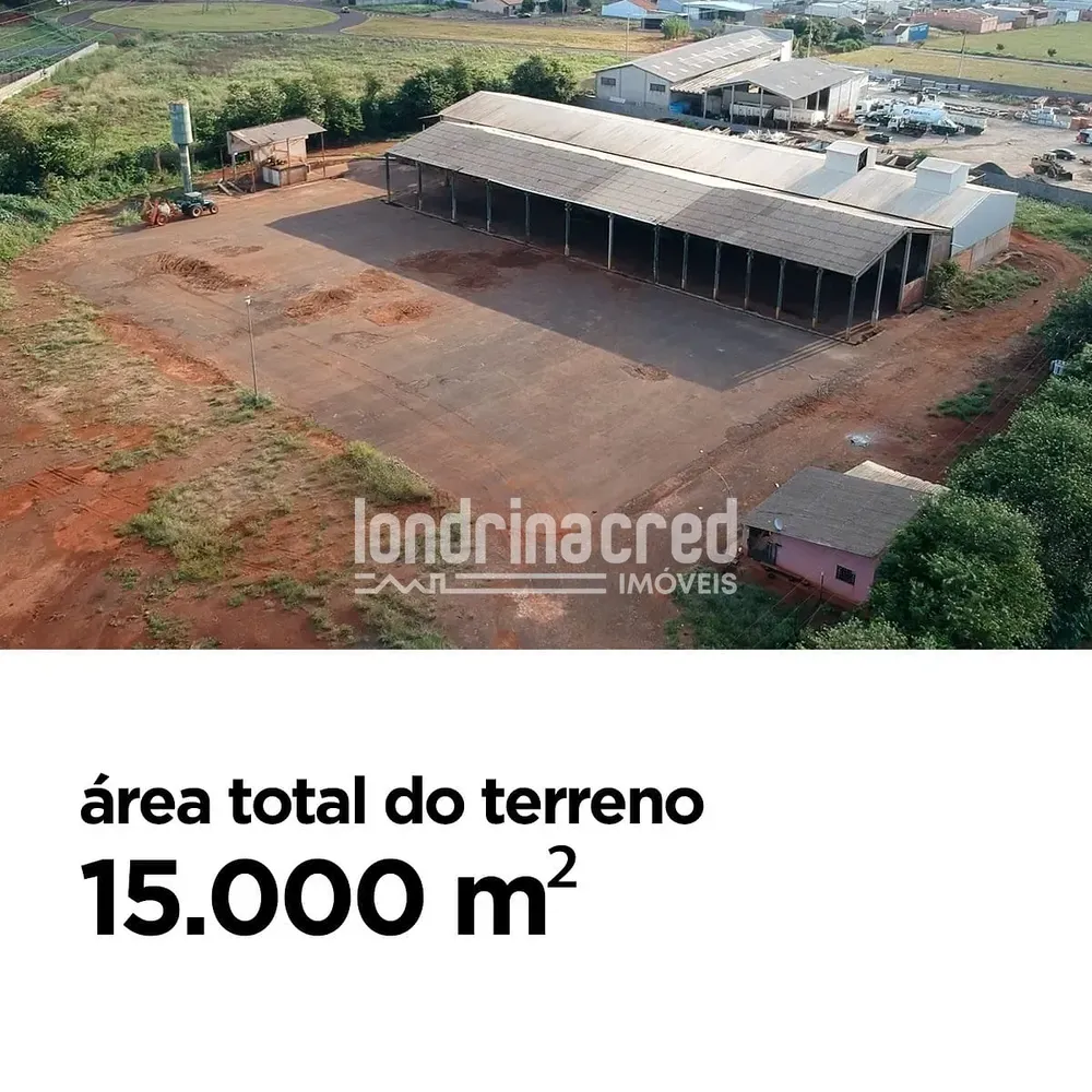 Terreno, 2 hectares - Foto 3