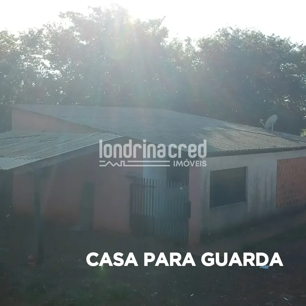 Terreno, 2 hectares - Foto 4