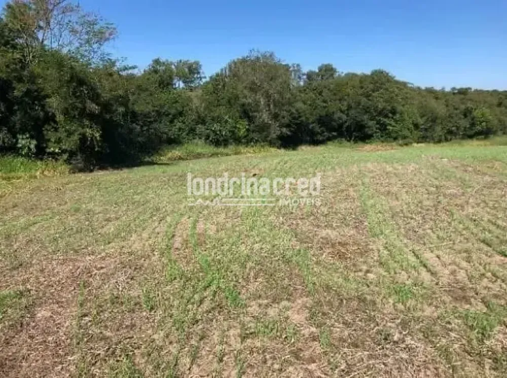 Sítio, 8 hectares - Foto 3