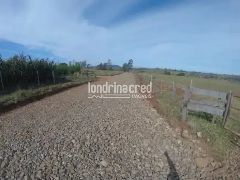 Sítio, 8 hectares - Foto 1