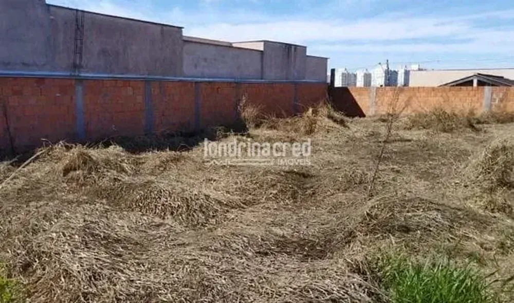 Terreno, 250 m² - Foto 2