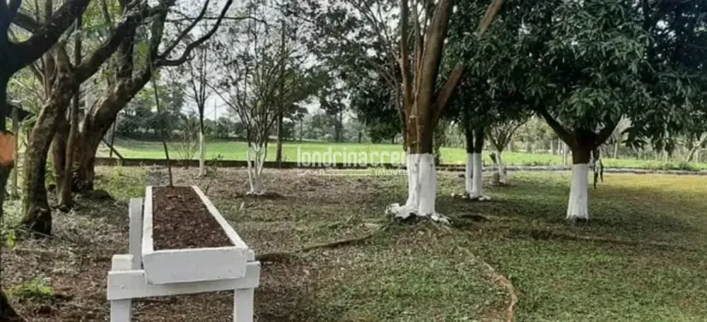 Chácara, 2 quartos, 3 hectares - Foto 6
