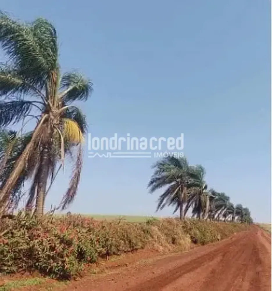 Chácara, 2 quartos, 3 hectares - Foto 7
