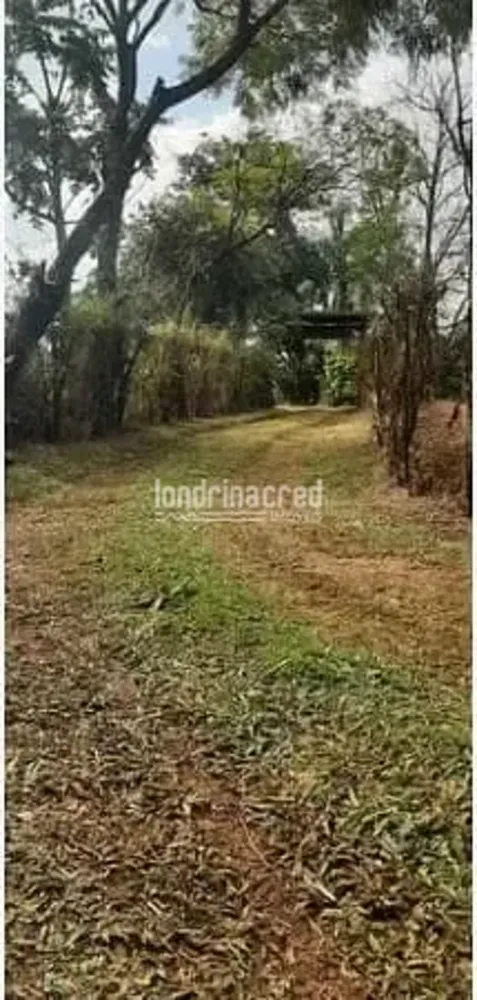Chácara, 2 quartos, 3 hectares - Foto 1