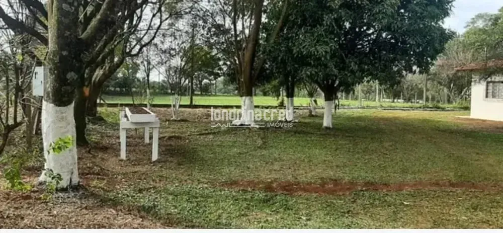 Chácara, 2 quartos, 3 hectares - Foto 3