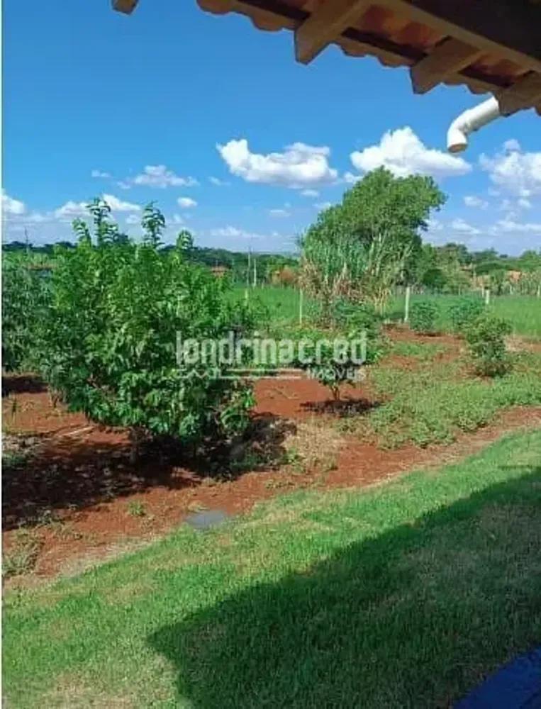 Chácara, 2 quartos, 1050 m² - Foto 6