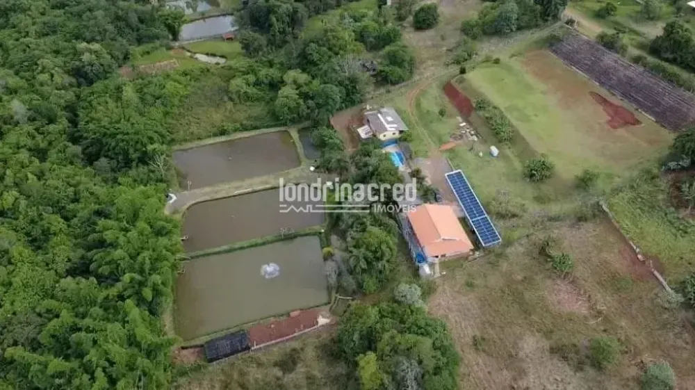 Chácara, 3 quartos, 2 hectares - Foto 8