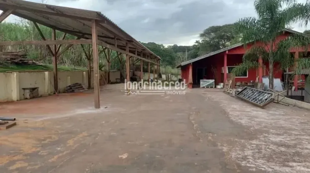 Chácara, 3 quartos, 2 hectares - Foto 4