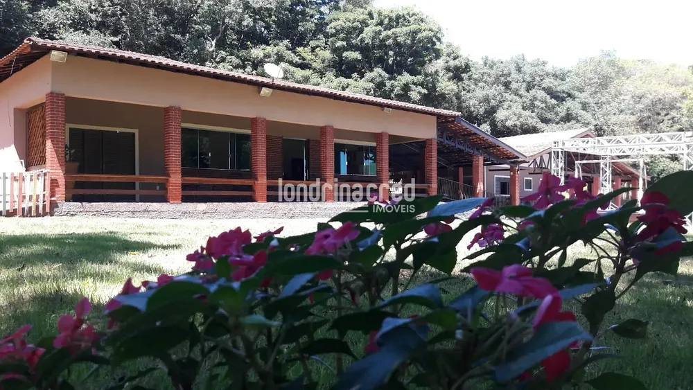 Chácara, 1 quarto, 3 hectares - Foto 1