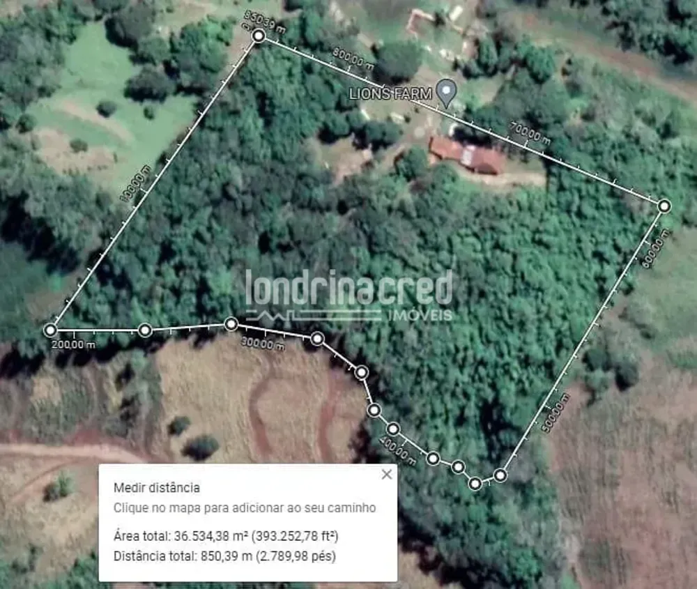 Chácara, 1 quarto, 3 hectares - Foto 4