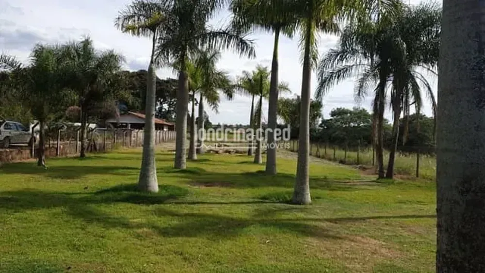 Chácara, 1 quarto, 2300 m² - Foto 3