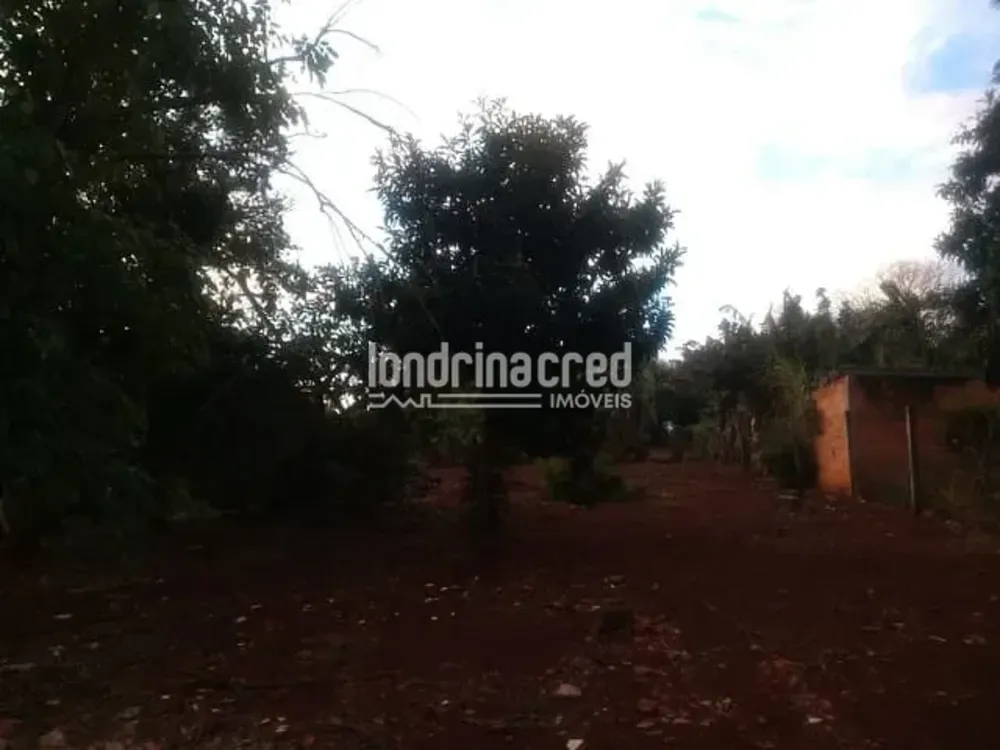 Chácara, 3 quartos, 3300 m² - Foto 2