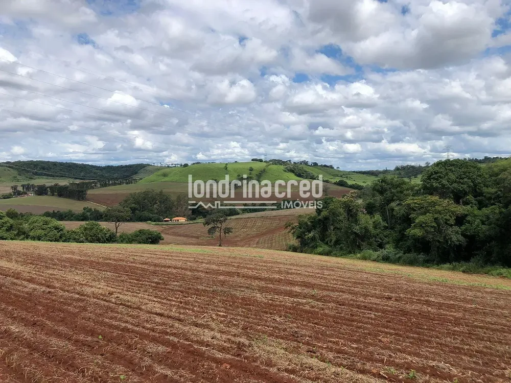 Terreno, 3 hectares - Foto 3