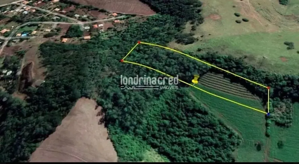 Terreno, 3 hectares - Foto 2