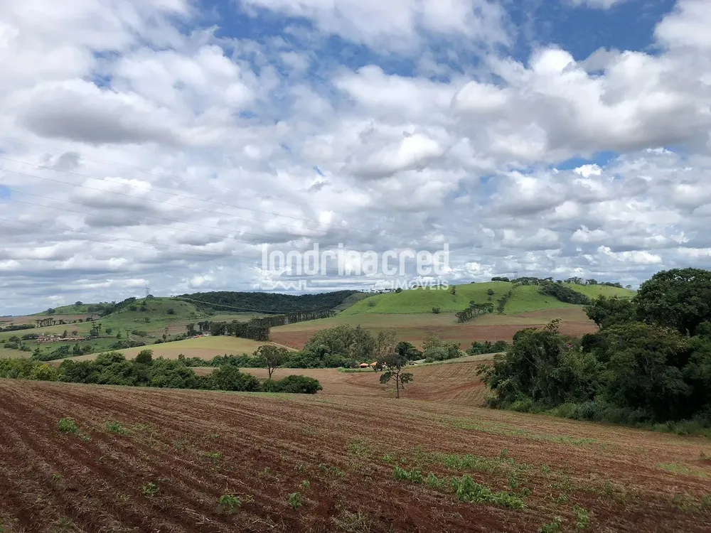 Terreno, 3 hectares - Foto 1