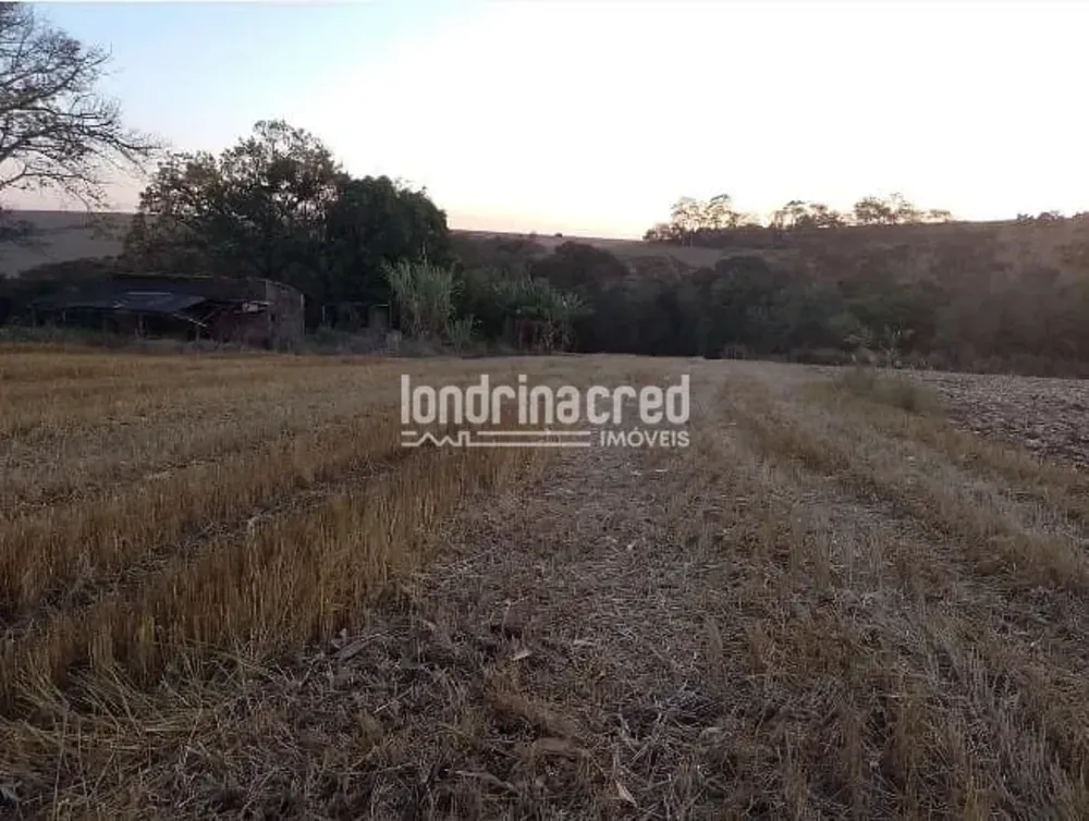 Terreno, 4 hectares - Foto 2