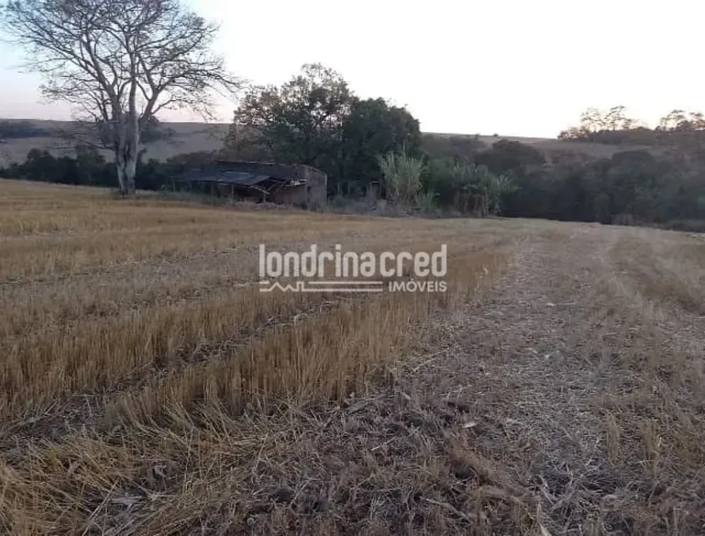 Terreno, 4 hectares - Foto 6