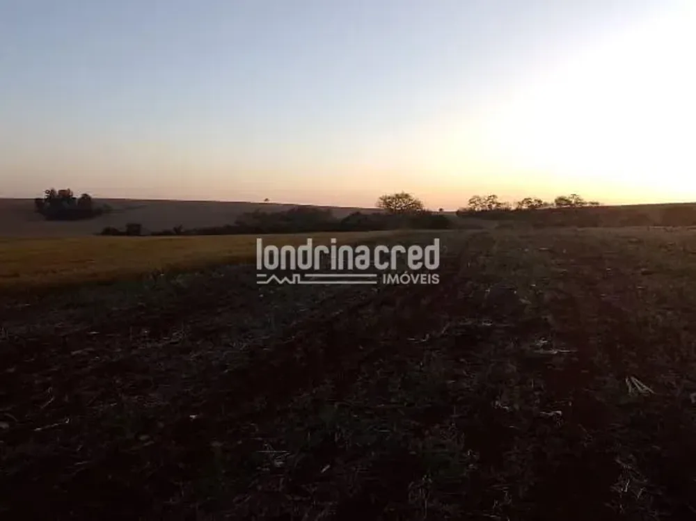 Terreno, 4 hectares - Foto 1