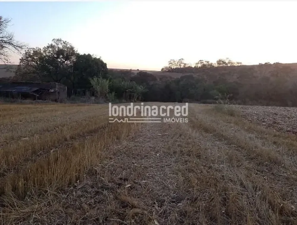 Terreno, 4 hectares - Foto 8