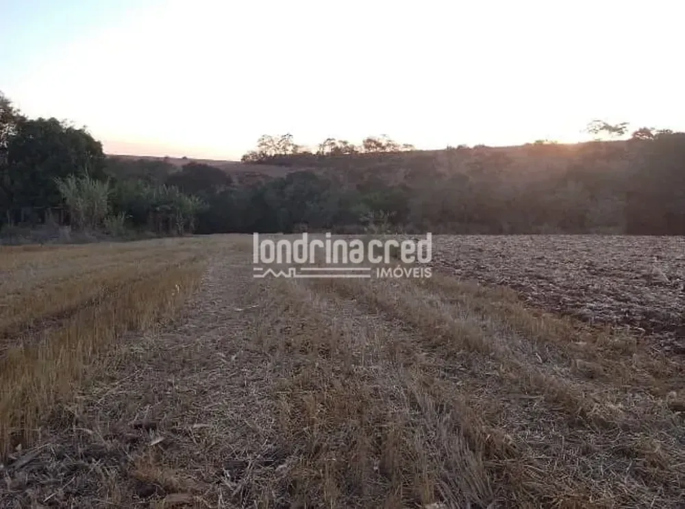 Terreno, 4 hectares - Foto 7