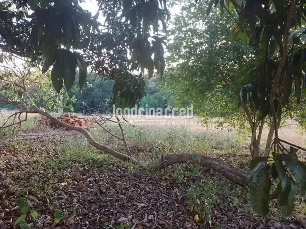Terreno, 4 hectares - Foto 4