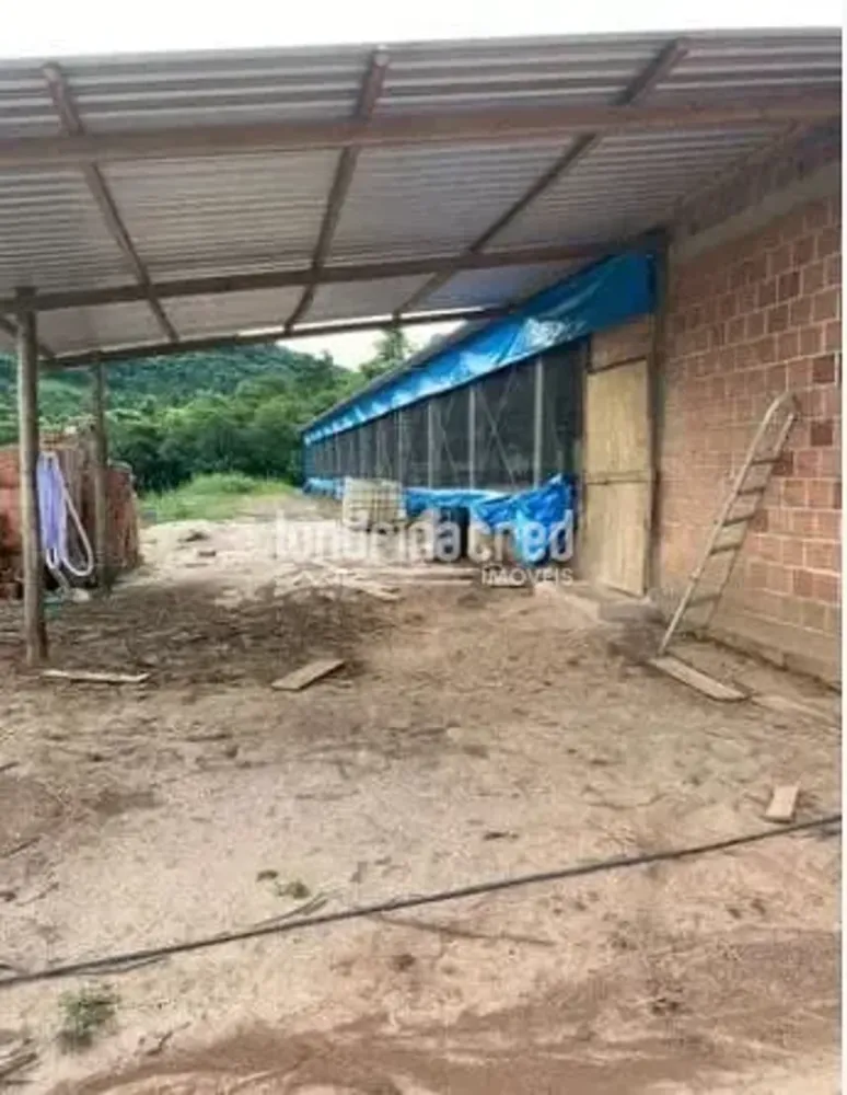 Fazenda, 9 hectares - Foto 4
