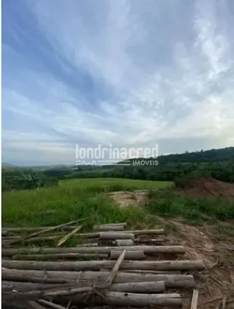 Fazenda, 9 hectares - Foto 3