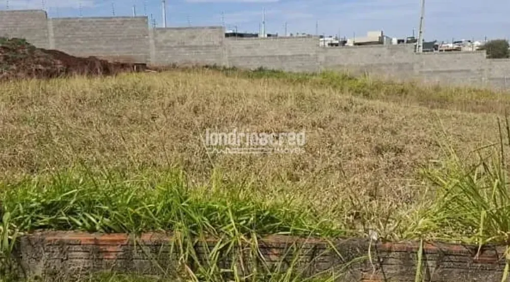 Terreno, 264 m² - Foto 7