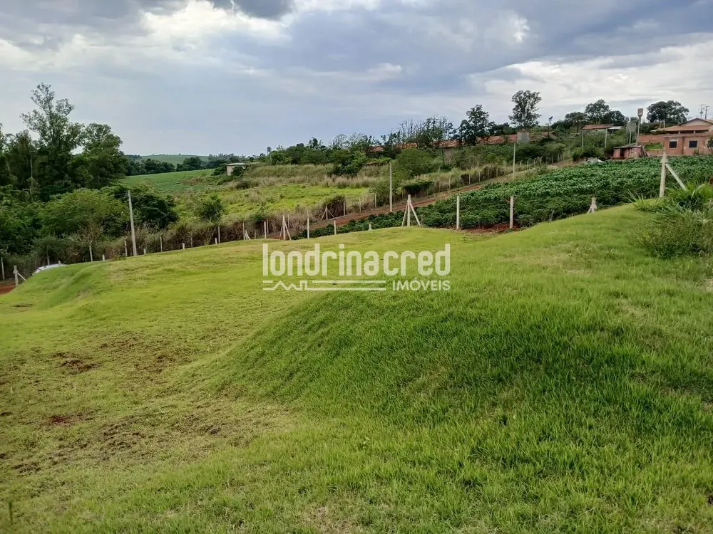 Terreno, 1010 m² - Foto 2