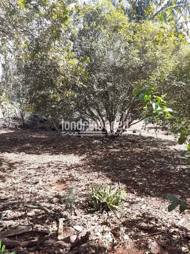 Terreno, 3680 m² - Foto 3