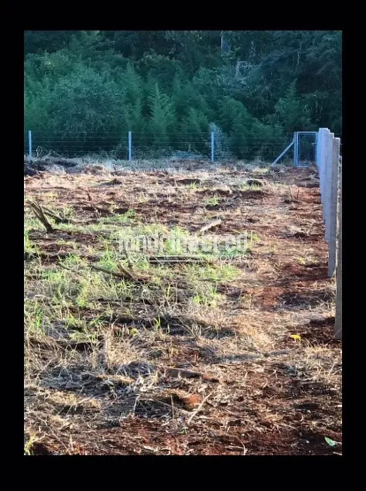 Terreno, 3680 m² - Foto 9