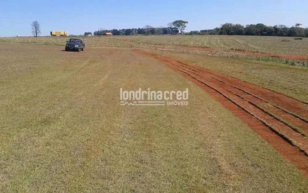Terreno, 9 hectares - Foto 6