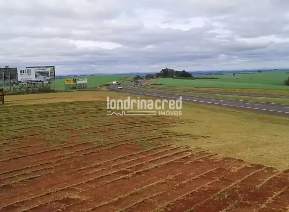 Terreno, 9 hectares - Foto 1