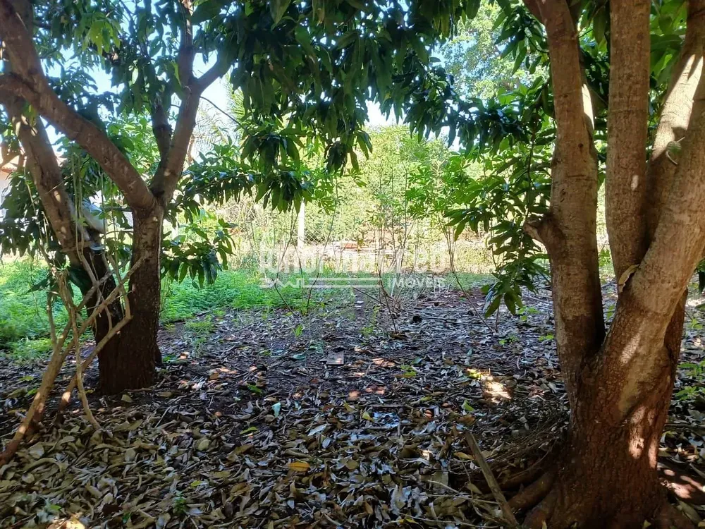 Chácara, 3 quartos, 1100 m² - Foto 8