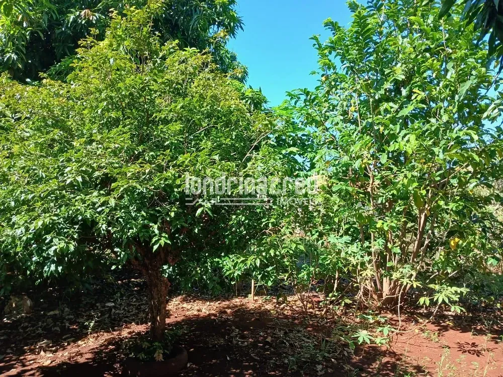 Chácara, 3 quartos, 1100 m² - Foto 6