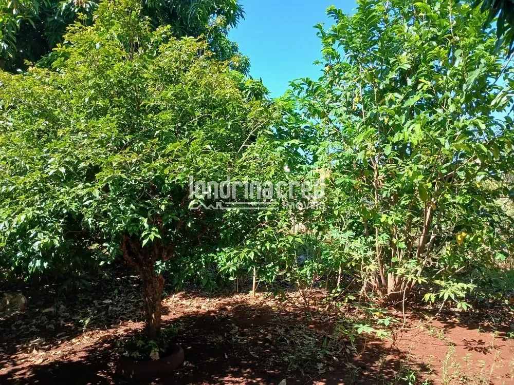 Chácara, 3 quartos, 1100 m² - Foto 5