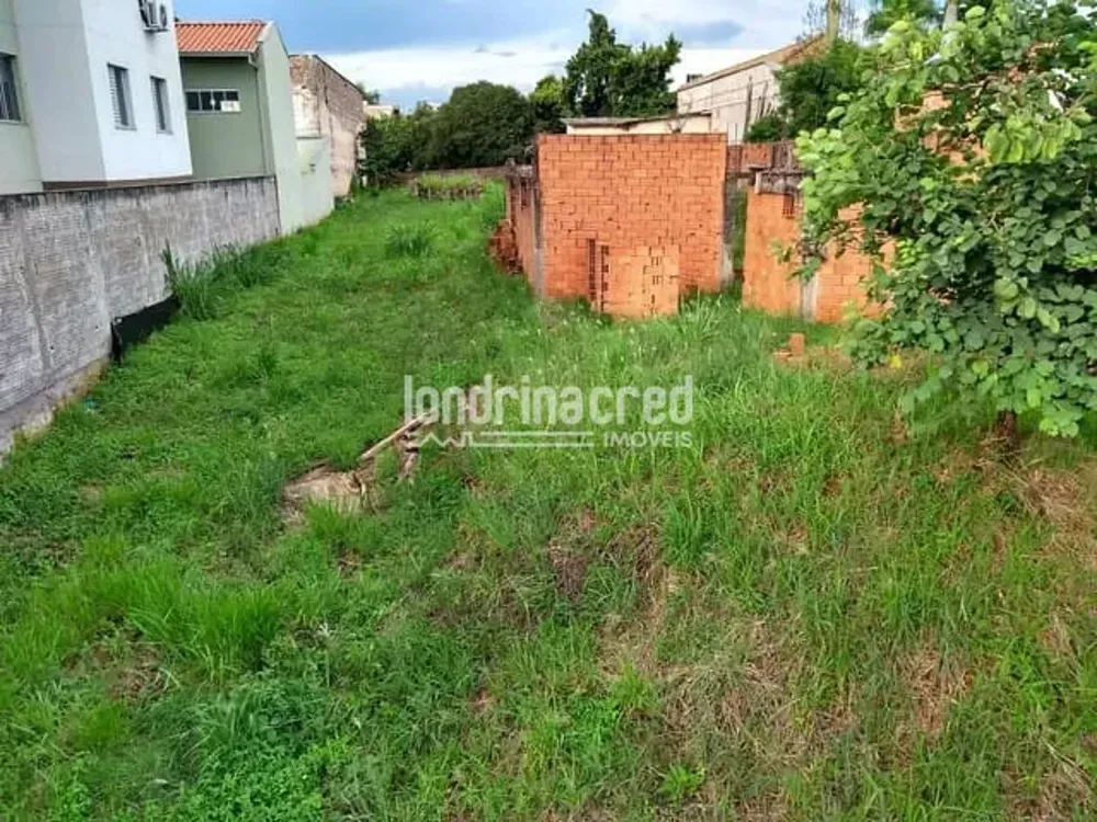 Terreno, 1200 m² - Foto 3