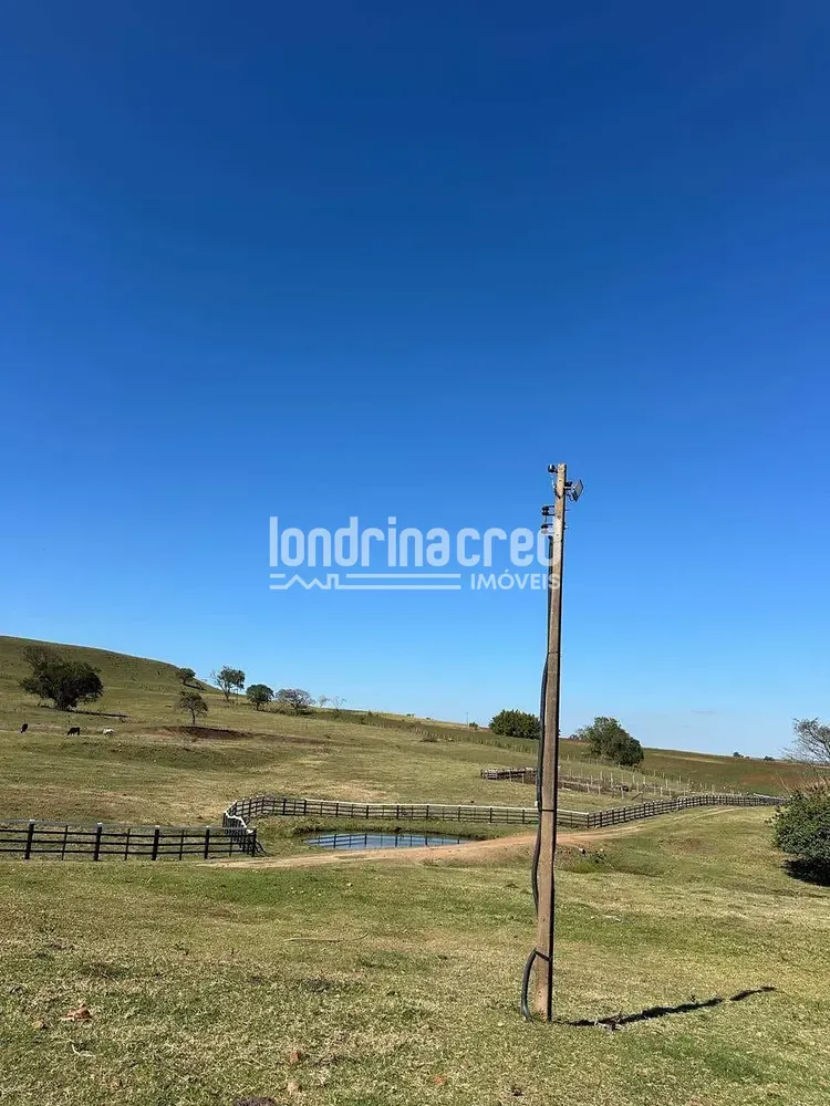 Fazenda, 177 hectares - Foto 8