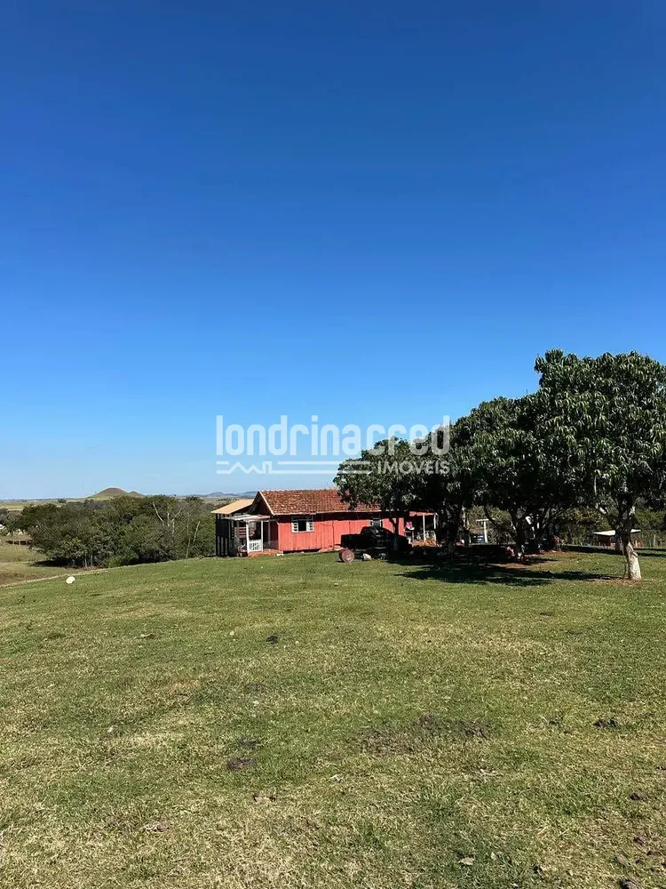 Fazenda, 177 hectares - Foto 7