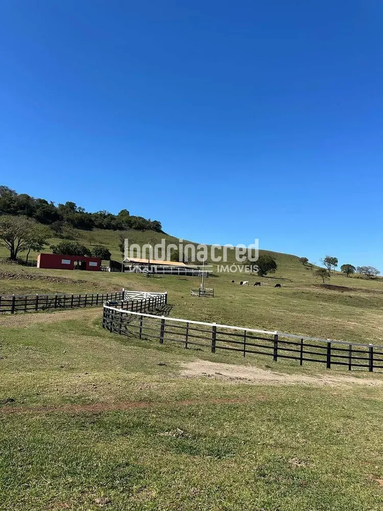 Fazenda, 177 hectares - Foto 6