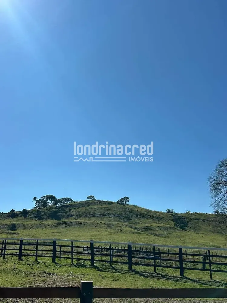 Fazenda, 177 hectares - Foto 4