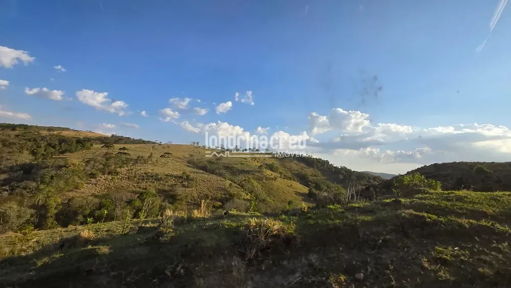 Fazenda, 340 hectares - Foto 4