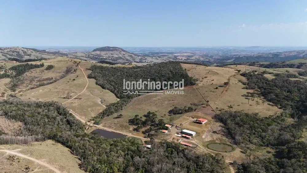 Fazenda, 340 hectares - Foto 3