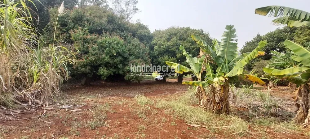 Terreno, 7 hectares - Foto 6